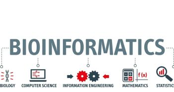 FaBI schreibt erneut Dissertationspreis für exzellente herausragende Bioinformatik-Arbeiten (Foto: AdobeStock - Trueffelpix - 404800631)